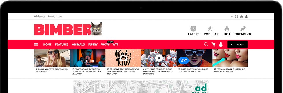 plantilla bimber wordpress